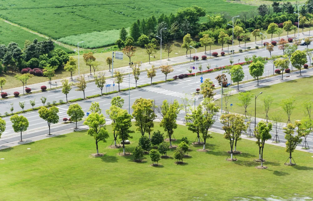 Villa Plots
